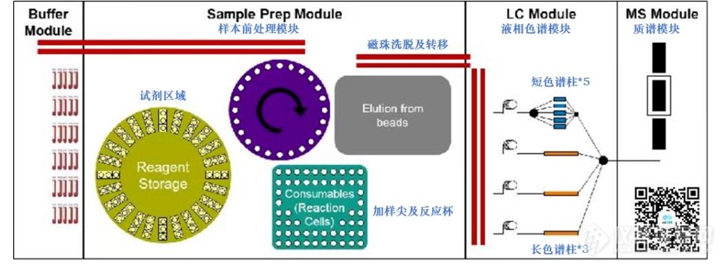 罗氏全自动质谱方案最新解读2024准备好进入质谱分析新维度了吗？(图8)